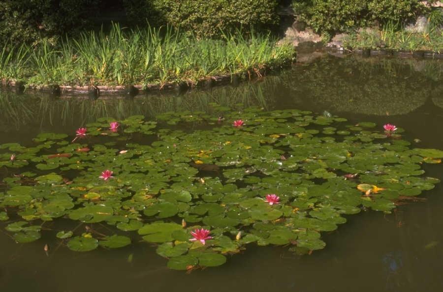 Vedere Vale Piu Di Mille Parole Badesi Buitenkant foto